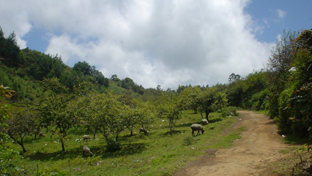 path to unreached people group