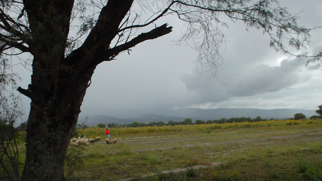 field in an unreached people group