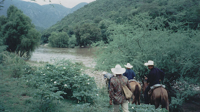 Guides getting lost in unreached area