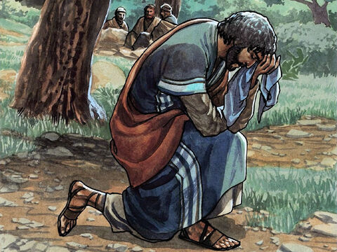 003 gnpi 089 prayer garden