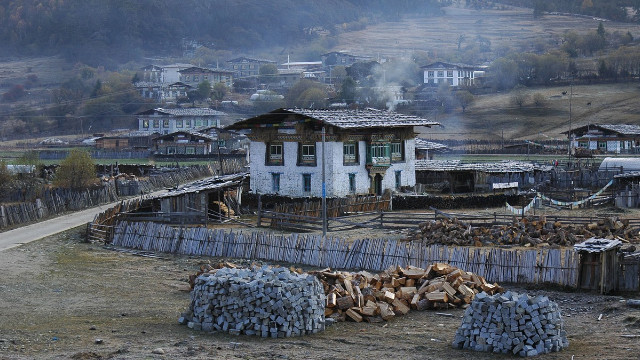 Dating your field research