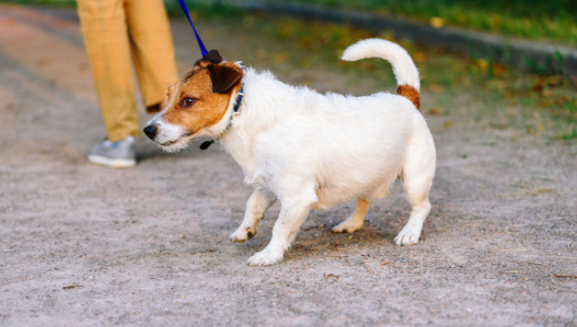 Preparing to be led by God